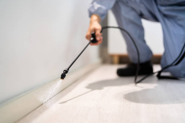 Licensed Ant Control service in Camden, SC - Nex Pest Control