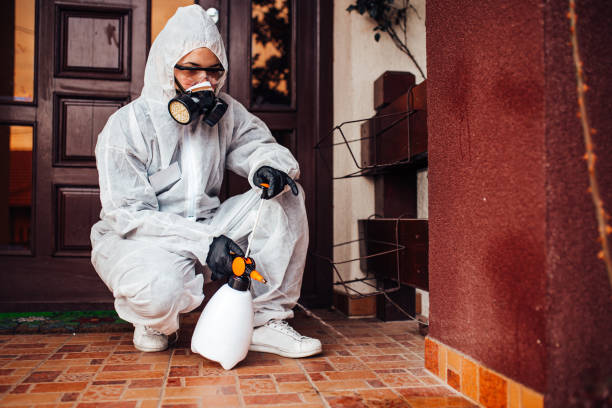 Reliable Ant Control contractor in Camden, SC by Nex Pest Control